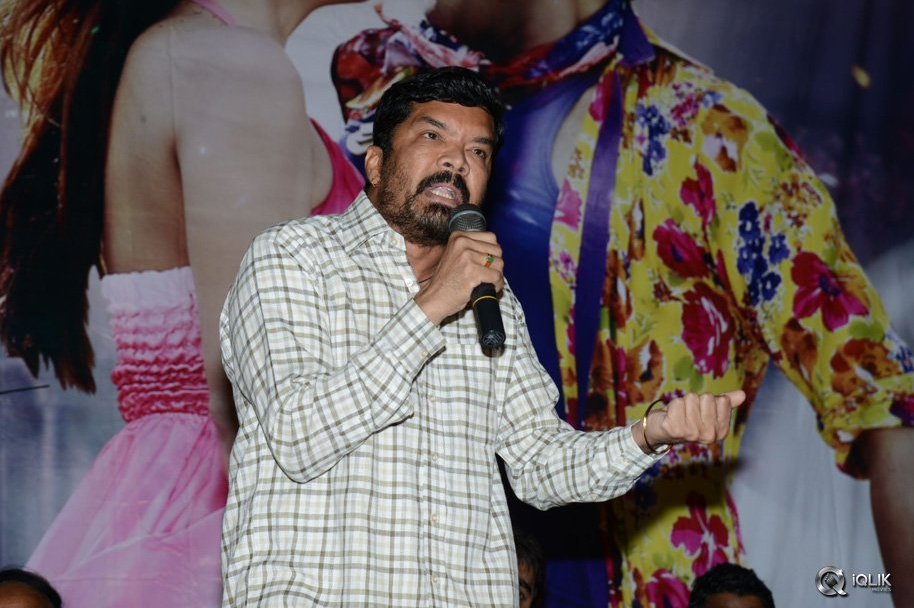 Dhee-Ante-Dhee-Movie-Platinum-Disc-Function